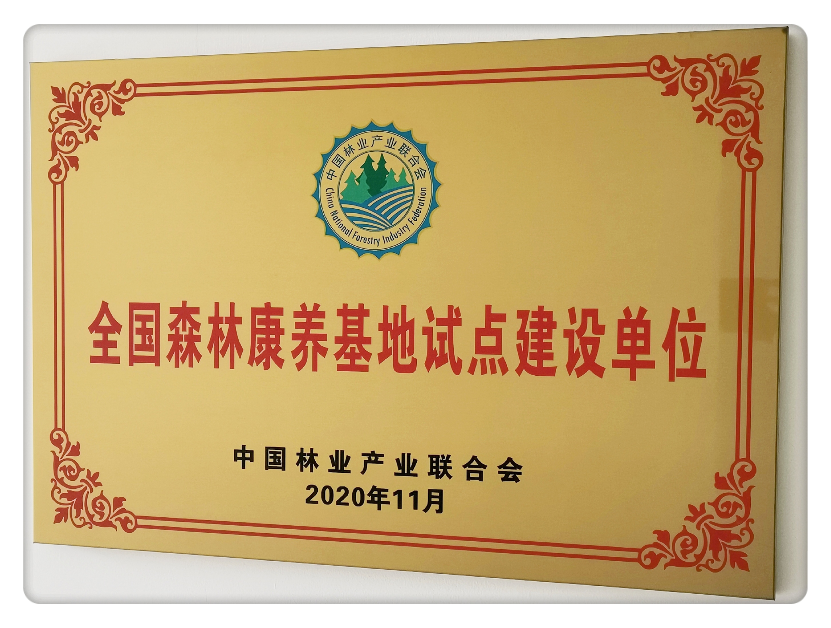 微信图片_20201123165044.jpg 微信图片_20201123165044.jpg